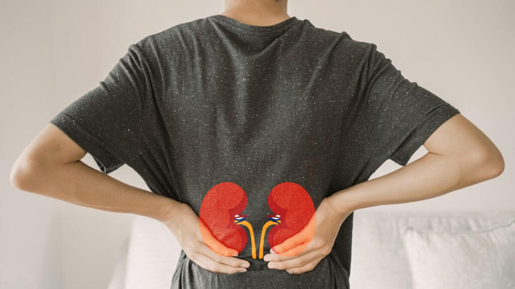 A person standing with their back facing the camera, touching their lower back where kidney illustrations are positioned.