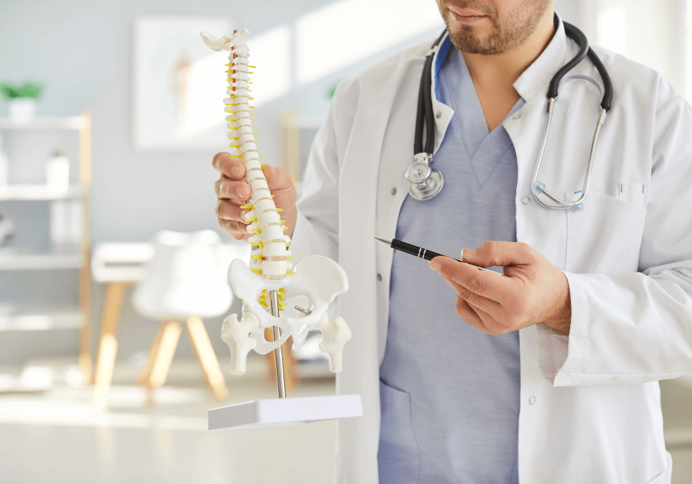 A healthcare professional in a lab coat is holding a model of a human spine and pelvis, pointing with a pen.